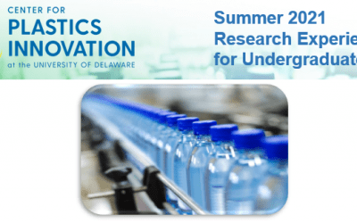 CPI Summer 2021 Undergrad Research Program Open for Applications